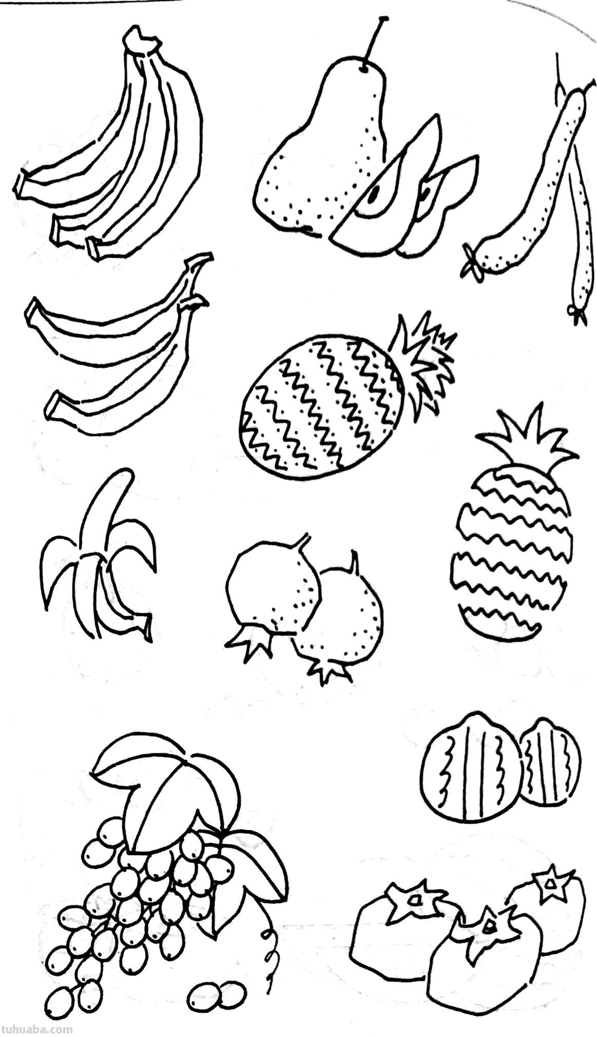 各种水果 蔬菜 简笔画线描稿素材 简单实用