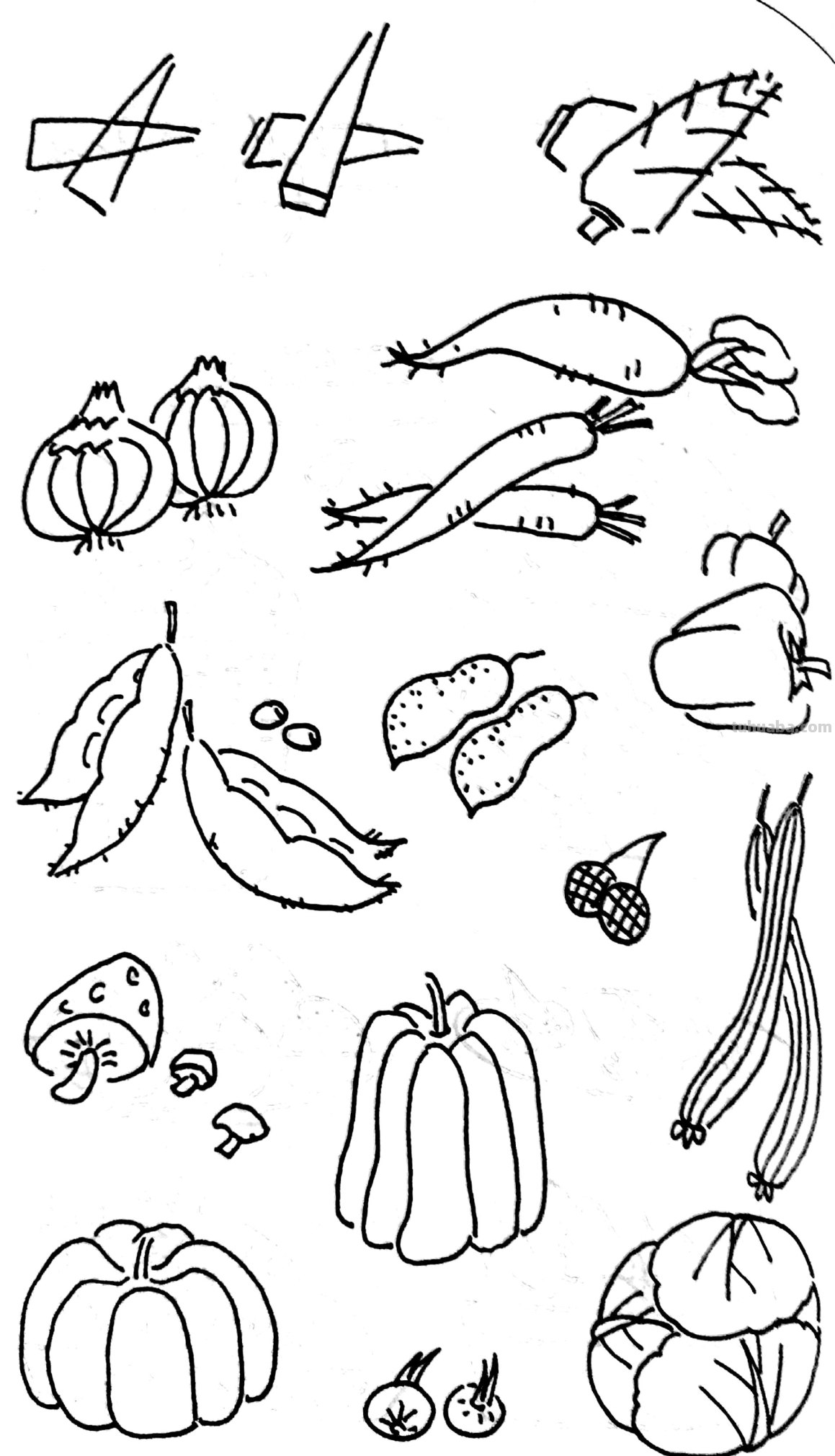 各种水果 蔬菜 简笔画线描稿素材 简单实用