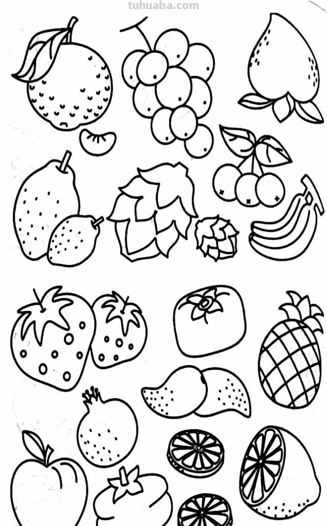 各种水果 蔬菜 简笔画线描稿素材 简单实用