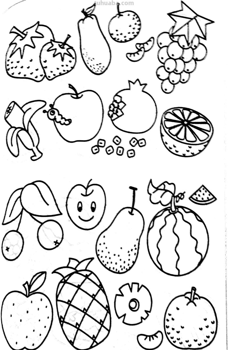 各种水果 蔬菜 简笔画线描稿素材 简单实用