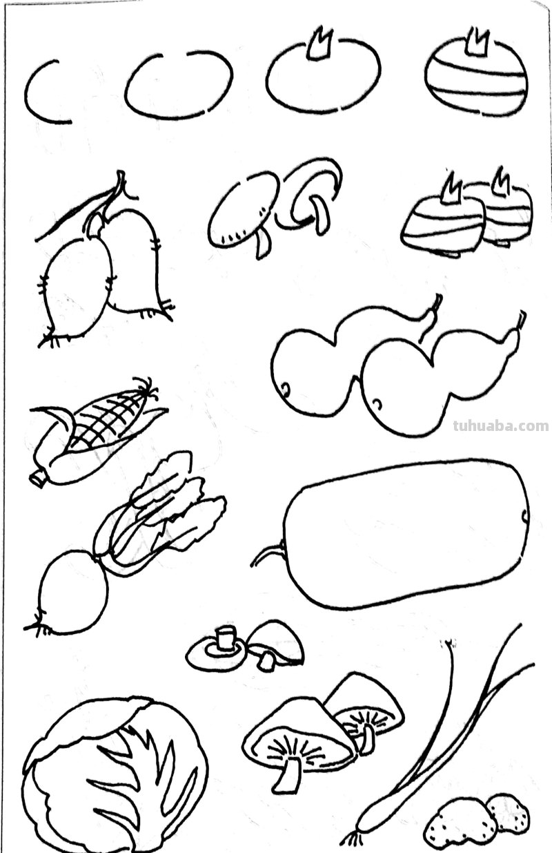 各种水果 蔬菜 简笔画线描稿素材 简单实用