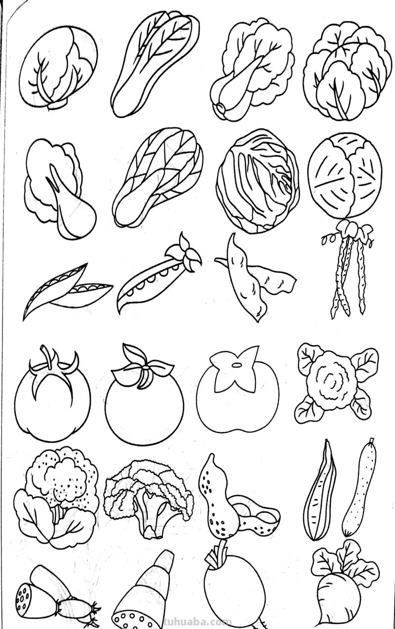各种水果 蔬菜 简笔画线描稿素材 简单实用