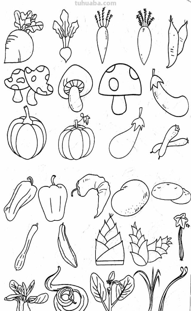 各种水果 蔬菜 简笔画线描稿素材 简单实用