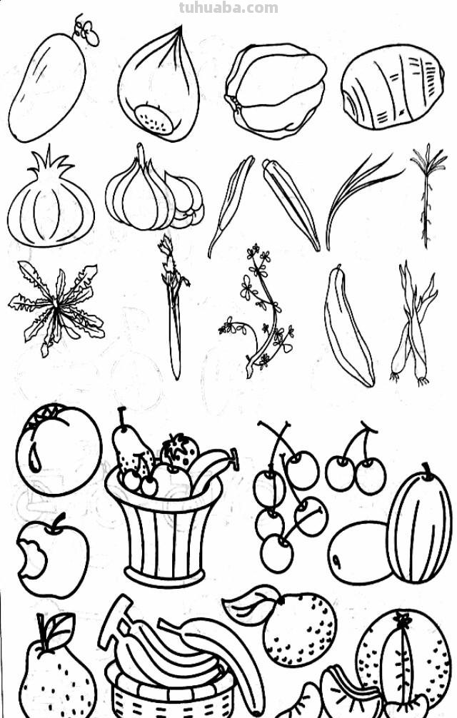 各种水果 蔬菜 简笔画线描稿素材 简单实用