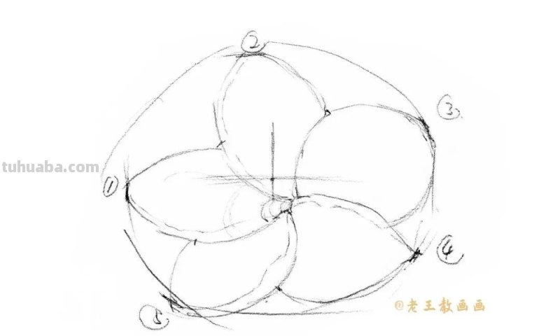 零基础也能画彩铅,教你画一朵小红花 零基础也能画彩铅,教你画一朵小红花