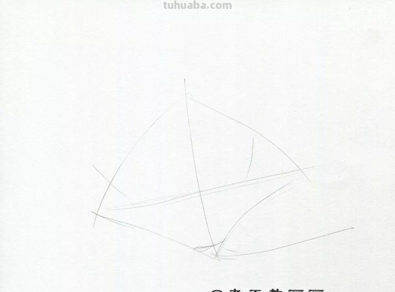 零基础也能画好彩铅，手把手教你画木兰花