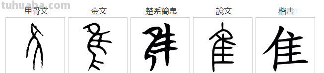 从“鸟”和“乌”的区别说起，追根溯源，发现汉字之美