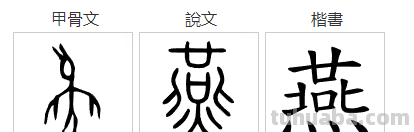 从“鸟”和“乌”的区别说起，追根溯源，发现汉字之美
