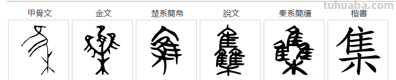 从“鸟”和“乌”的区别说起，追根溯源，发现汉字之美
