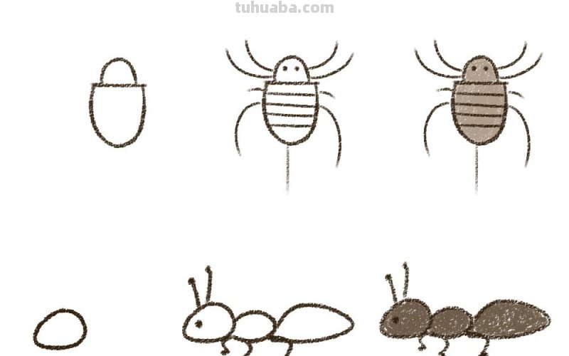 8款小昆虫简笔画：来一次说画就画的开始吧！超超超简单哦！