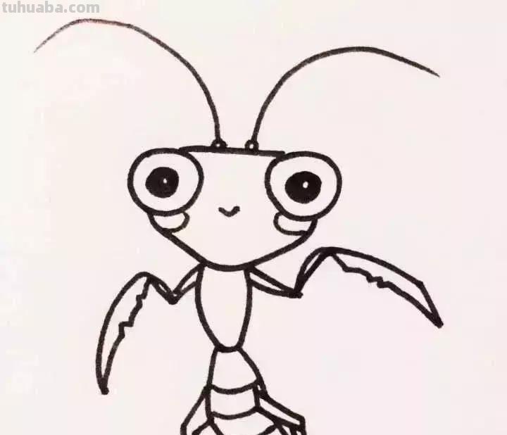 简笔画|9只超级萌的昆虫宝宝,一看就会,建议为宝宝收藏! 简笔画|9只超级萌的昆虫宝宝,一看就会,建议为宝宝收藏!