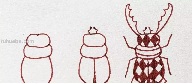 简笔画：昆虫总动员，快收藏起来和孩子一起画吧