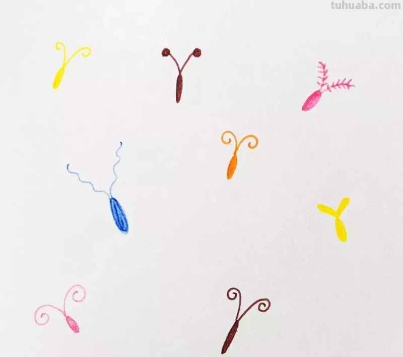 简笔画：昆虫总动员，快收藏起来和孩子一起画吧