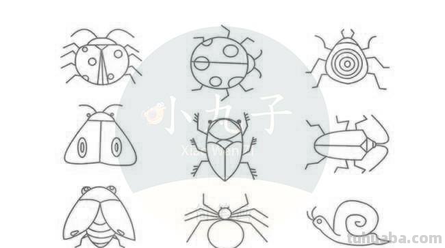 小昆虫简笔画来啦，快来教宝宝认识认识