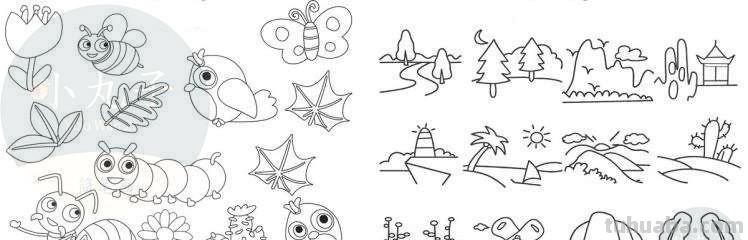 小昆虫简笔画来啦，快来教宝宝认识认识