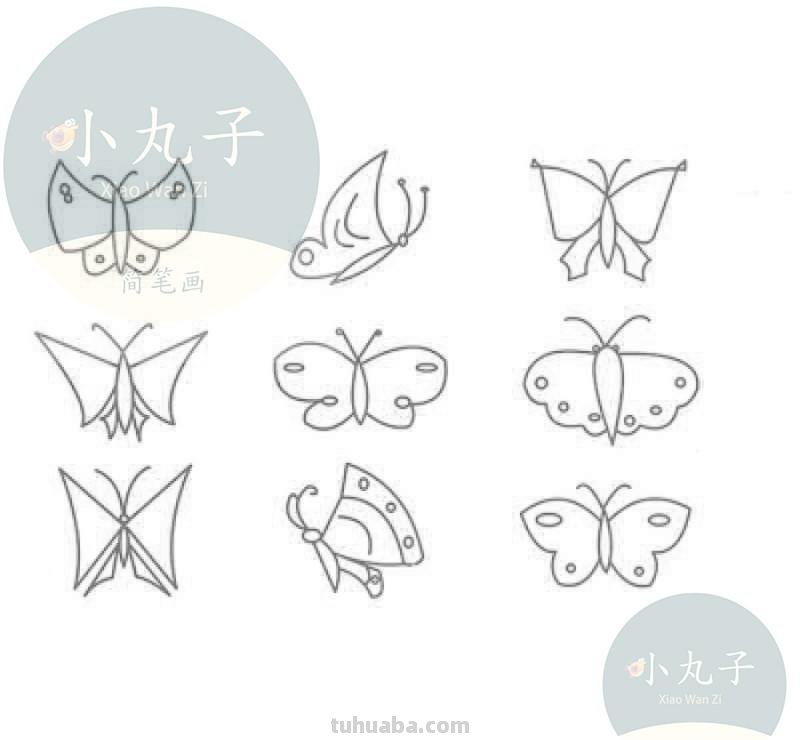 小昆虫简笔画来啦，快来教宝宝认识认识