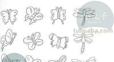 小昆虫简笔画来啦，快来教宝宝认识认识