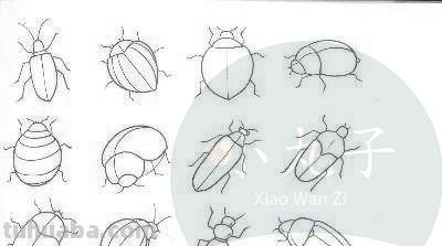 小昆虫简笔画来啦，快来教宝宝认识认识