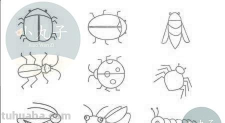 小昆虫简笔画来啦，快来教宝宝认识认识