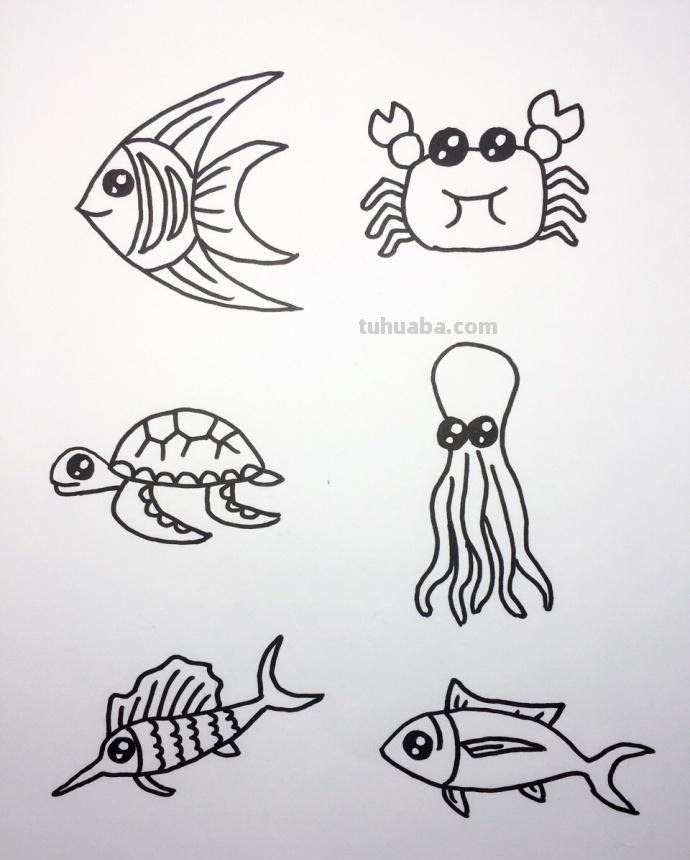 大海和海里动物们的简笔画~