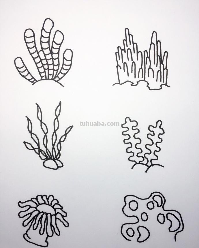 大海和海里动物们的简笔画~