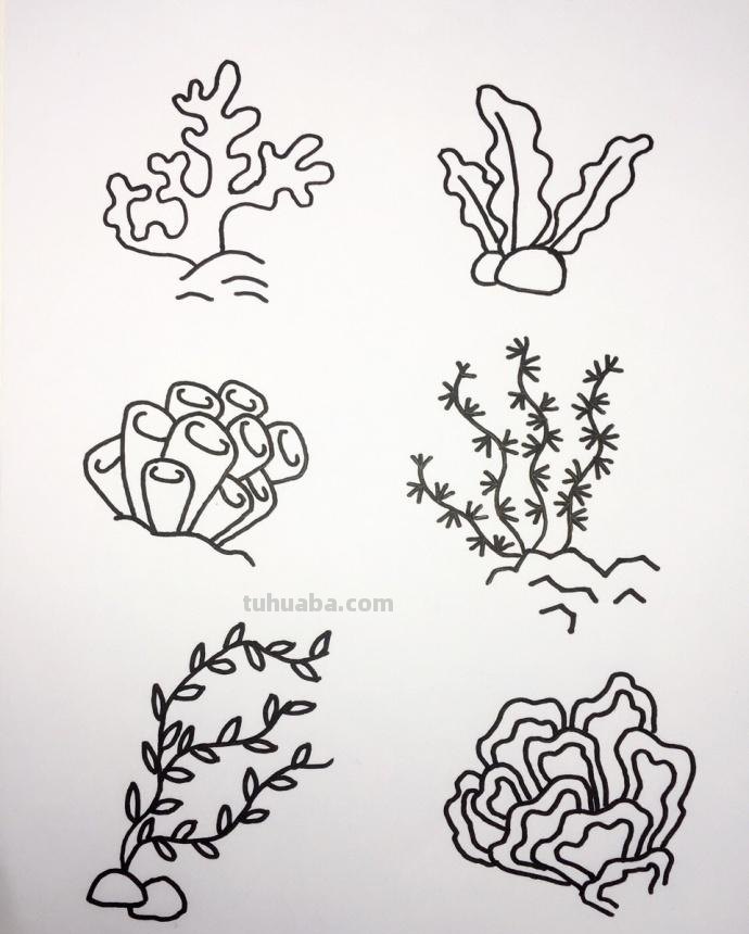 大海和海里动物们的简笔画~