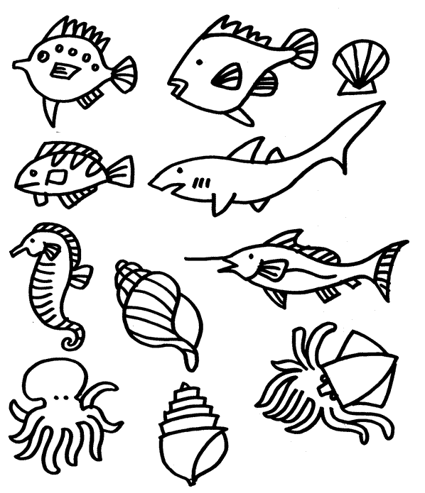 海洋动物怎么画,果果分享这几个教程给你,别被孩子看笑话啦 海洋动物怎么画,果果分享这几个教程给你,别被孩子看笑话啦