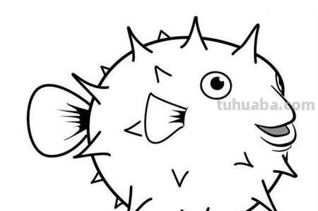 海洋动物怎么画,果果分享这几个教程给你,别被孩子看笑话啦 海洋动物怎么画,果果分享这几个教程给你,别被孩子看笑话啦