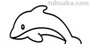 海洋动物怎么画,果果分享这几个教程给你,别被孩子看笑话啦 海洋动物怎么画,果果分享这几个教程给你,别被孩子看笑话啦
