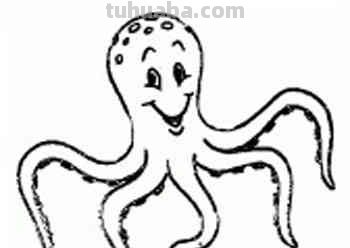 海洋动物怎么画,果果分享这几个教程给你,别被孩子看笑话啦 海洋动物怎么画,果果分享这几个教程给你,别被孩子看笑话啦