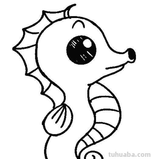 海洋动物怎么画,果果分享这几个教程给你,别被孩子看笑话啦 海洋动物怎么画,果果分享这几个教程给你,别被孩子看笑话啦