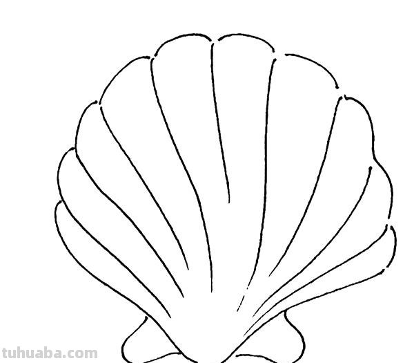 海洋动物怎么画,果果分享这几个教程给你,别被孩子看笑话啦 海洋动物怎么画,果果分享这几个教程给你,别被孩子看笑话啦