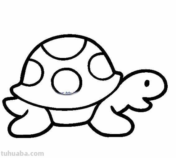 海洋动物怎么画,果果分享这几个教程给你,别被孩子看笑话啦 海洋动物怎么画,果果分享这几个教程给你,别被孩子看笑话啦