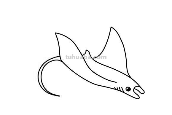海洋动物怎么画,果果分享这几个教程给你,别被孩子看笑话啦 海洋动物怎么画,果果分享这几个教程给你,别被孩子看笑话啦