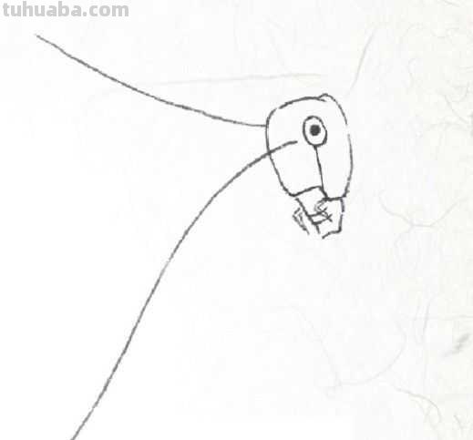 工笔画草虫不会画？那是你没有学会画这些基本画法，简单易学！