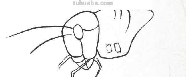 工笔画草虫不会画？那是你没有学会画这些基本画法，简单易学！