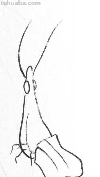 工笔画草虫不会画？那是你没有学会画这些基本画法，简单易学！