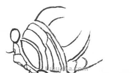 工笔画草虫不会画？那是你没有学会画这些基本画法，简单易学！