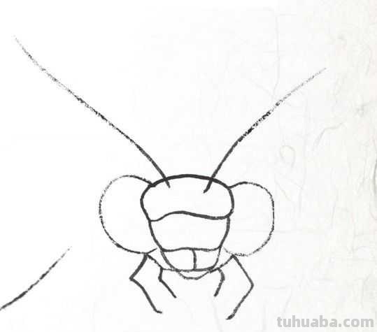 工笔画草虫不会画？那是你没有学会画这些基本画法，简单易学！