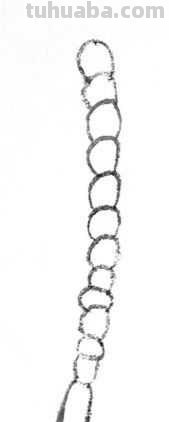 工笔画草虫不会画？那是你没有学会画这些基本画法，简单易学！