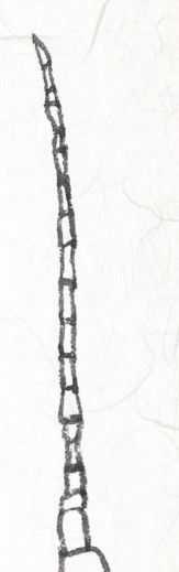 工笔画草虫不会画？那是你没有学会画这些基本画法，简单易学！