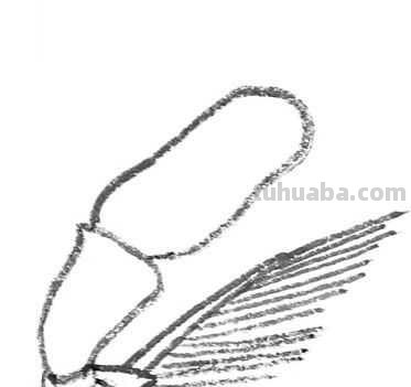 工笔画草虫不会画？那是你没有学会画这些基本画法，简单易学！