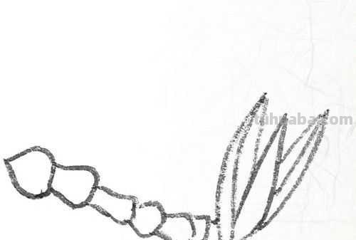 工笔画草虫不会画？那是你没有学会画这些基本画法，简单易学！