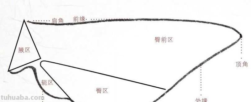 工笔画草虫不会画？那是你没有学会画这些基本画法，简单易学！