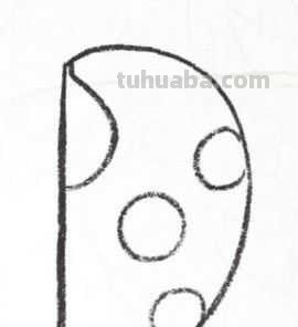 工笔画草虫不会画？那是你没有学会画这些基本画法，简单易学！