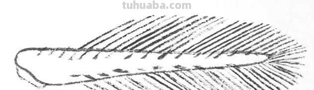 工笔画草虫不会画？那是你没有学会画这些基本画法，简单易学！