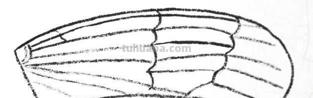 工笔画草虫不会画？那是你没有学会画这些基本画法，简单易学！