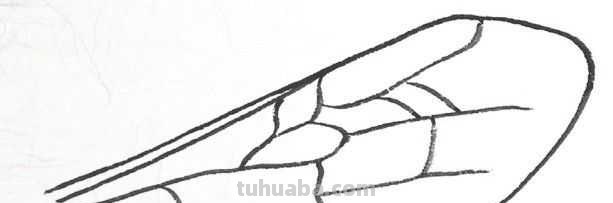 工笔画草虫不会画？那是你没有学会画这些基本画法，简单易学！