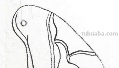 工笔画草虫不会画？那是你没有学会画这些基本画法，简单易学！