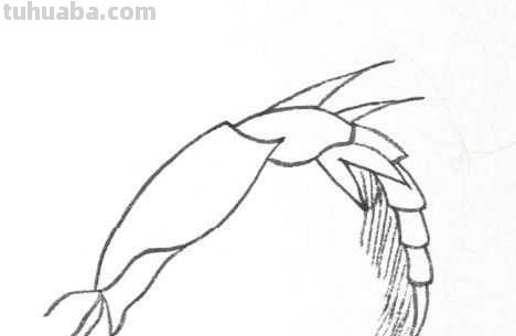 工笔画草虫不会画？那是你没有学会画这些基本画法，简单易学！